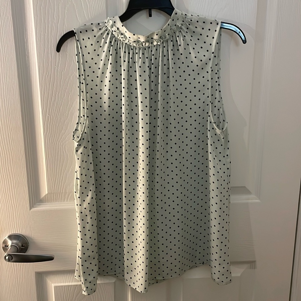 Blue And Black Polka Dot Ann Taylor Tie-Neck Top